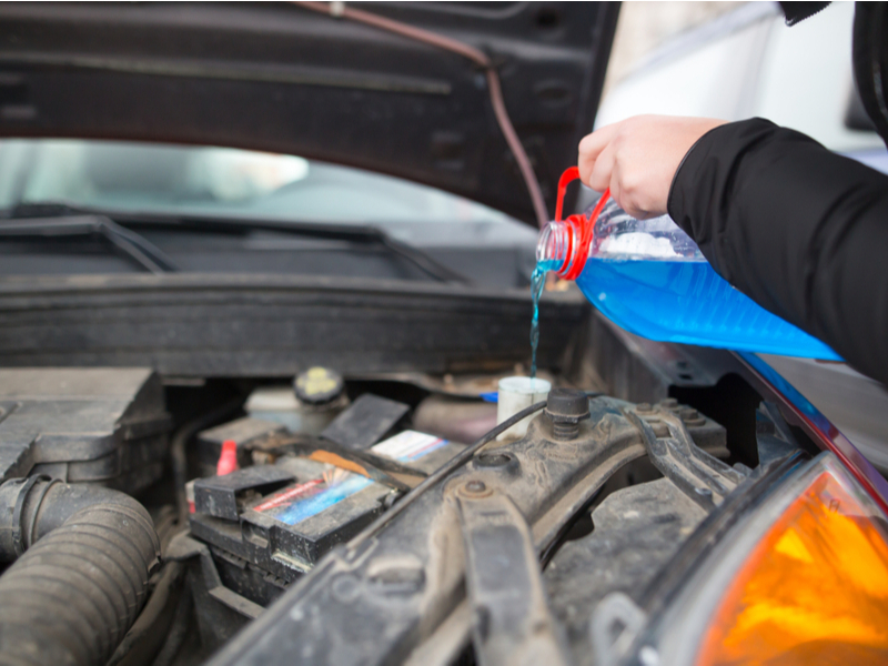 pouring anti-freeze in car