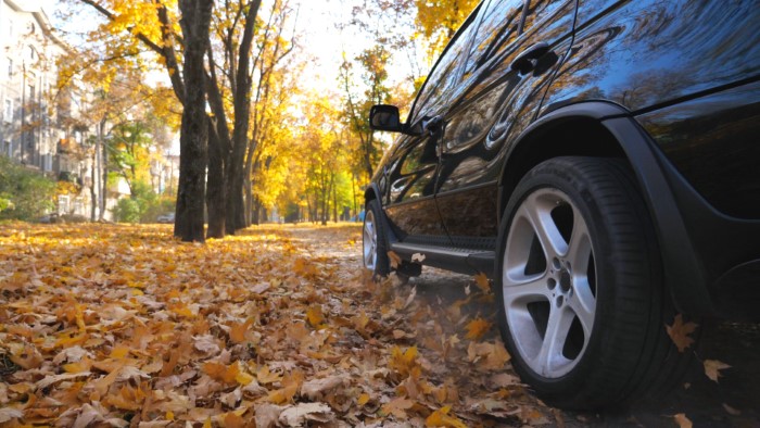 Safety Tips for Driving in Autumn Weather
